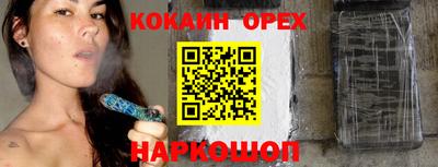 тгк Кингисепп