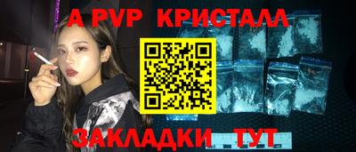 тгк Кингисепп