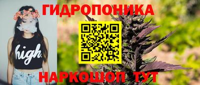 тгк Кингисепп