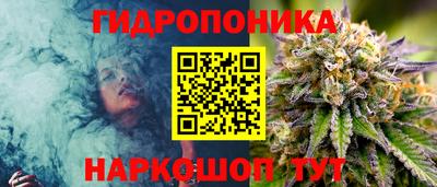 дмт Кимры