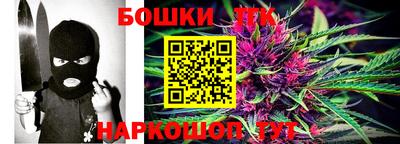 тгк Кингисепп