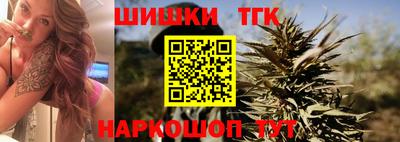 тгк Кингисепп