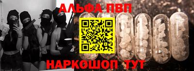 тгк Кингисепп