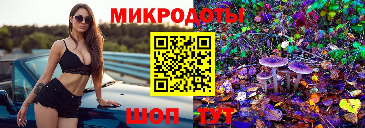 Галлюциногенные грибы мухоморы Звенигород