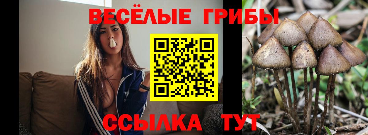 Галлюциногенные грибы мухоморы  Вход с VPN  купить закладку  Звенигород  Псилоцибиновые грибы Cubensis 